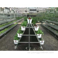 Vertikale NFT -System PVC Rohre Treibhauskits